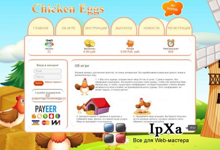  Chicken Eggs